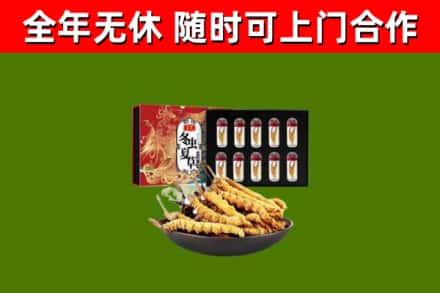 雅安市回收冬虫夏草价格